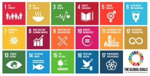 global-goals-full-icons.png__2318x1180_q85_crop_subsampling-2_upscale