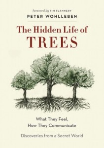 hiddenlifeoftrees